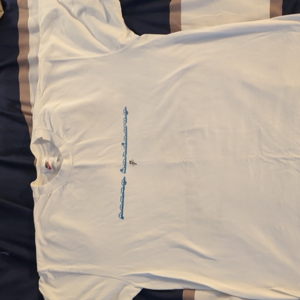 Vintage Nike penny hardaway tee